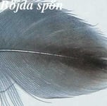 Gräsand Färgad  - Grey