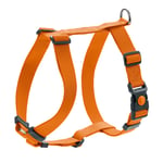 HUNTER London Vario Rapid, orange hundsele - Stl. XXS-XS: 32-52 cm magomfång