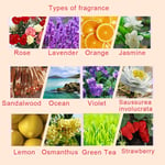 12 Bottles 3ml Natural Fragrant Plant Water Soluble Fatigue Relieve Essentia RHS