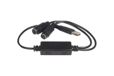 StarTech.com USB till PS/2-adapter - Tangentbord och mus - adapter för tangentbord/mus - USB