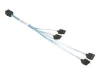 Supermicro Cbl-Sast-0703 - Sata/Sas-Kabel - 4X Mini-Sas Hd (Sff-8643) (Hane) Till Sata (Hona) - 23/13/23/13 Cm