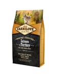 Salmon & Turkey for Large Breed Adult 4
