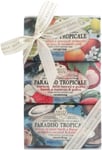 Nesti Dante Paradiso Tropicale Soap 3 x 250g Gift Set