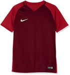 NIKE Nikyg Kids Dry Team Trophy III Football Jersey - Team Red/Gym Red/Gym Red/White, X-Small