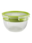 EMSA CLIP & GO - food storage container - green clear - 2.6 L