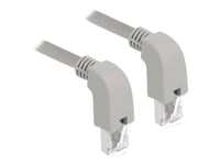 Delock - Patch-Kabel - Rj-45 (Hane) Vinklad Nedåt Till Rj-45 (Hane) Vinklad Nedåt - 1 M - S/Ftp - Cat 6A - Startad, Halogenfri - Grå