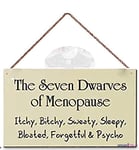 Jackgold Honey Rustic Wooden Signs/The Seven Dwarves of Menopause - Itchy, Bitchy, Sweaty, Sleepy, Bloated, Forgetful and Psycho Wood Sign,Home Wooden Custom Wall Art Decor Wooden Signs