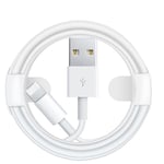 Câble Usb Apple d'origine pour câble iPhone Apple 11 12 Pro Max Xs Xr X SE 8 7 6 6s Plus ipad air Mini 4 câble de charge rapide pour chargeur iPhone White 21SJX0427C10249