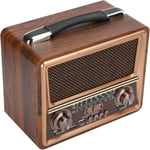 AM FM SW Radio Portable, Radio ¿¿ Piles, Radio Professionnelle ¿¿ 3 Bandes en Bois Pur, Haut-Parleur Bluetooth Portable sans Fil en Bois Rechargeable(220V)