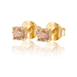 Gynning Jewelry Time To Glow Mini Örhängen S Champagne Guld