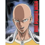 One Punch Man (Hero Of Earth Canvas Print, Multi Coloured, 60 x 80cm