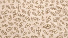 Robens Fleece Carpet Klondike tältmatta Sand & Green OneSize - Fri frakt