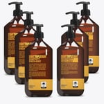 EightTripleEight Ginger + Honey Hair Care Set- 3x Shampoo & 3x Conditioner 1L 