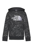 B Drew Peak P/O Hoodie Print Sport Sweat-shirts & Hoodies Hoodies Grey The North Face