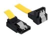 DeLOCK Cable SATA - Serial ATA-Kabel - 70 cm
