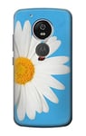 Vintage Daisy Lady Bug Case Cover For Motorola Moto G6 Play, Moto G6 Forge, Moto E5