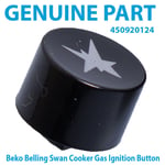 Cooker Gas Hob Gas Ignitor Button NEW WORLD 50GDO 50GTC 50TWLMLPGSW 50TWLMSV