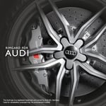 Fälglås till Audi fälgar Rimgard 4-pack