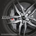 FÃ¤lglÃ¥s till Audi fÃ¤lgar Rimgard 4-pack