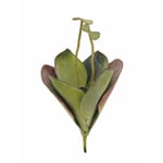 Europalms Water Lily (EVA), closed green, 45cm