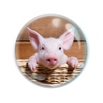 Deluxebase Magnidome - Cochon de Aimant Animal de la Ferme pour Frigo en Verre de Cristal pour Enfants. Magnifiques dômes magnétiques pour la décoration de la Maison