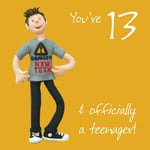 13th Male Birthday Card - Teenager Danger New Teen One Lump Or Two Quality NEW