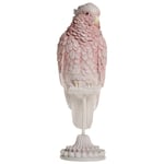 Chic Antique Denmark Papegoja på Fot Dekoration Rosa M