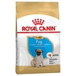 Canin Royal Carlin Puppy jusqu'à 10 mois 3 x 1,5 kg Nourriture sèche spécialement conçue pour soutenir la peau et le pelage Santé digestion et système immunitaire avec protéines digestibles