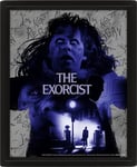 Pan Vision The Exorcist 3D-poster (Exorcism)