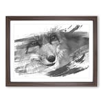 Red Fox Vol.5 V1 Modern Framed Wall Art Print, Ready to Hang Picture for Living Room Bedroom Home Office Décor, Walnut A3 (46 x 34 cm)