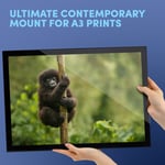 A3 Glass Frame - Baby Wild Mountain Gorilla Monkey Art Gift #16980