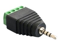 Delock - Audio-Adapter - 4 Stifts Terminalblock Hane Till Mikrostereojack Hane