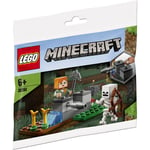 LEGO Minecraft System Of Defence Vs.The Skeletons 30394