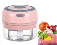 Liseng Electric Garlic Masher,Mini Food Chopper Electric,Mini Food Processors with USB Charging Portable Vegetable Fruit Meat Garlic Onion Ginger Chopper,Kitchen Gadget, 100ml Pink