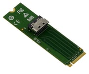 KALEA-INFORMATIQUE Adaptateur Gen 5.0 pour Port M2 NVMe M Key vers MCIO x4 PCIe 5.0 Compatible 2230 2242 2260 2280