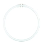 Osram Cirkellysrör T5 55W/830 4200lm 3000K