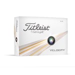 Titleist Velocity (2024) - White