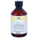 Davines Naturaltech Purifying Shampoo puhdistava shampoo Hilsettä Vastaan 250 ml