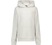 French Terry Small Logo JR huvtröja Barn Ash Heather 12-13