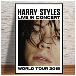 Harry Styles Tour Rock Music Star Poster and Prints Wall Art Modern Canvas Painting Wall Pictures for Living Room Home Decor-50x70cm No Frame