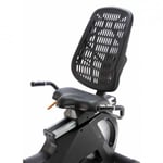 Salter Rs 29 Recumbent Motionscykel