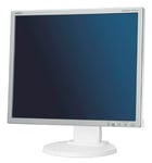 NEC Displays MultiSync EA190M 19 inch TFT LCD monitor (1000:1, 250 cd/m, 1280 x 1024, 4ms, DVI-D (White))
