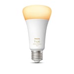 Philips Hue White Ambiance E27 1600lm 1-pack