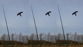3 st Fågelskrämma: Drake (6 meter)