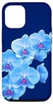 Coque pour iPhone 14 Pro Magnifique orchidée phalaenopsis bleue en forme de mania