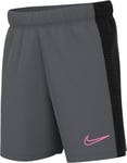 Nike Academy 23 Shorts Iron Grey/Black/Sunset Pulse 7/8 Years