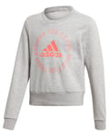 Adidas Bold Crew Sweatshirt JR MGreyH/Sigpnk (Storlek 134)