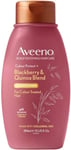 Aveeno Itchy Scalp Soothing & Colour Protect Conditioner with Blackberry & Quino