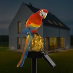 Udendørs dekorativ lampe med solceller - Automatisk lysfunktion - Rød papegøje