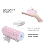 Mini Electric Hair Curler for Styling Bangs with USB Charging UK